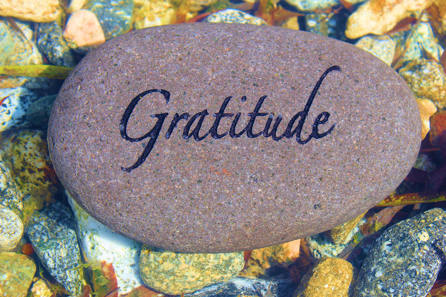 A Message of Gratitude for Thanksgiving