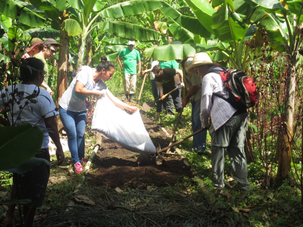 Nicaragua Participants helping to plant onions